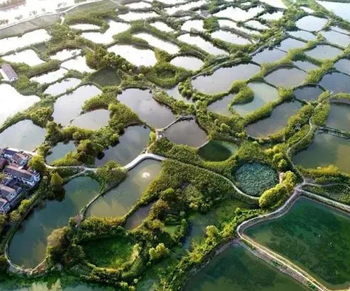 羅茨鼓風(fēng)機(jī)主要作用是什么？